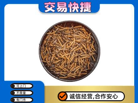 郴州嘉禾县回收散虫草